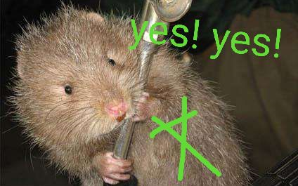 lucpass】战锤:全面战争2凡世帝国 斯卡文鼠人 艾辛氏族 第六期 鼠鼠