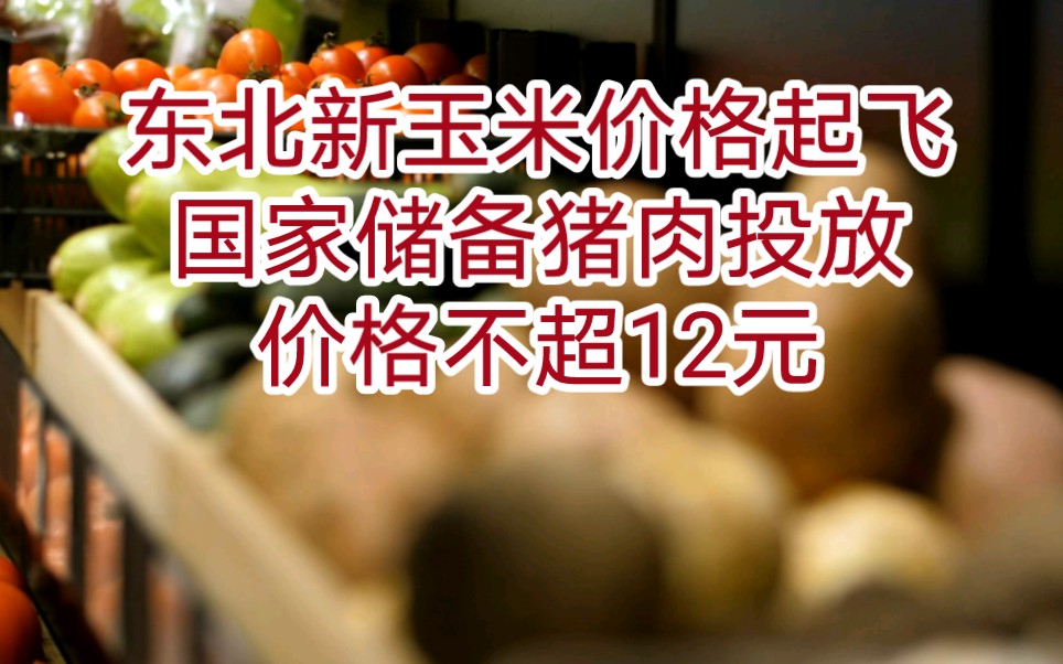 秋粮上市东北新玉米价格率先起飞,储备猪肉投放价格不超12元;全球第三大稻谷生产国开启全球大米进口业务哔哩哔哩bilibili