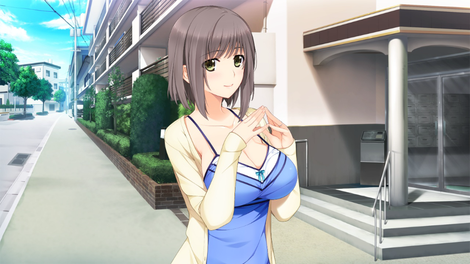 新妻lovely×c∧tion 汉化 gal 拔作