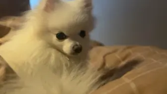 早上床边突然多了这么个玩意儿