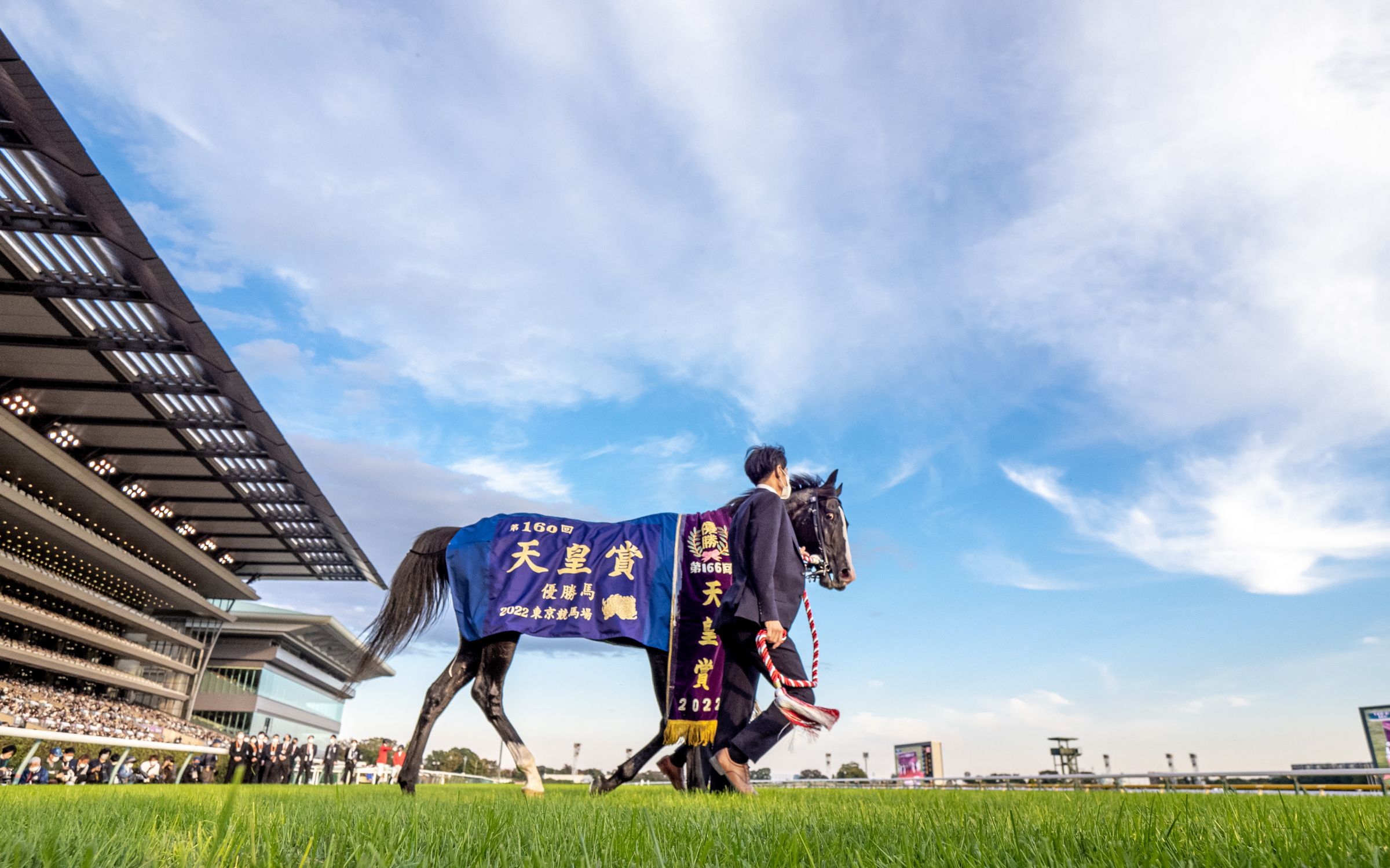 【cc字幕】2022年 第166届天皇赏(秋) 直播剪辑版