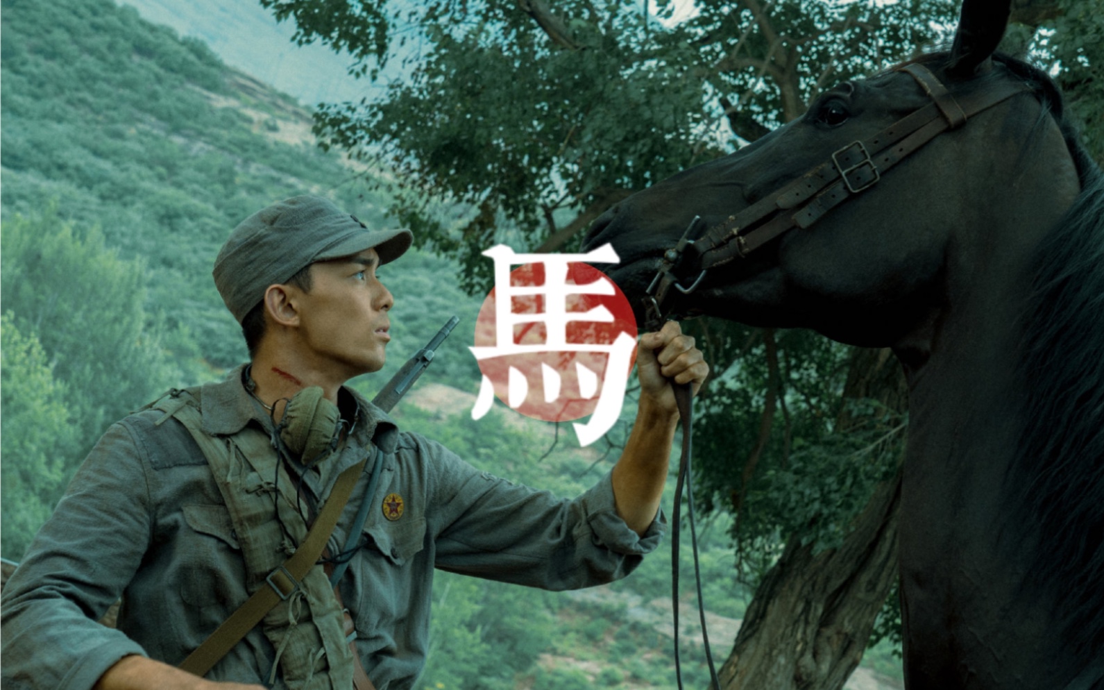 父辈马乘风你像一匹白马悠然自得逃跑吧