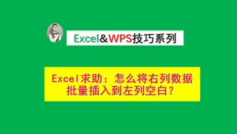 Excel求助:怎么把右列数据批量插入到左列空白？