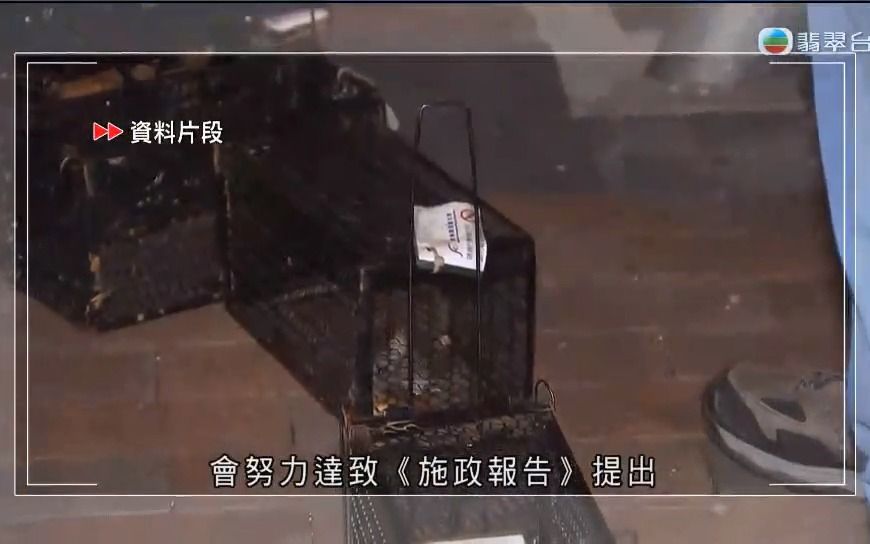 【粤语新闻】香港捕捉活鼠量按年增加50% 新灭鼠方法被批评(TVB六点半新闻报道)哔哩哔哩bilibili