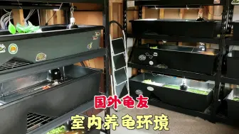 下载视频: 国外龟友的室内养龟环境