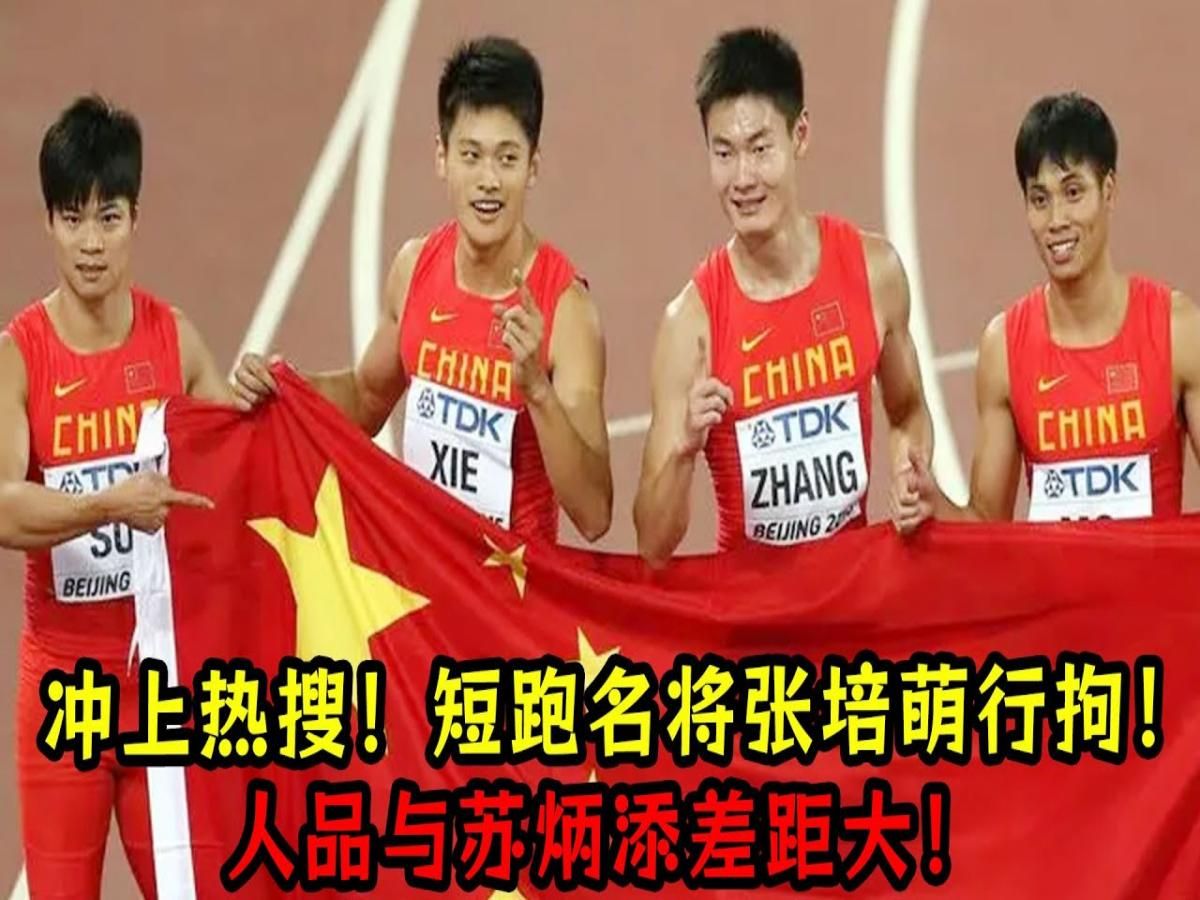 短跑名将张培萌行拘!人品与苏炳添差距大!