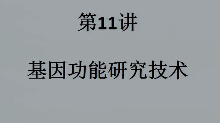 11【国科大本科生课程】基因功能研究技术PPT视频