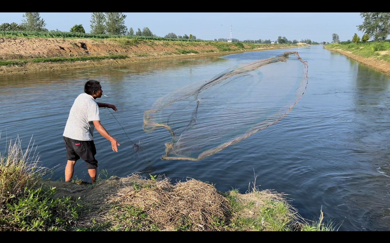 老渔民野河边撒网捕鱼,这手法绝对是专业的,捕到的全是这种金鱼