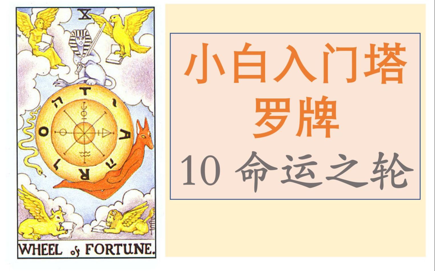 活动作品小白快速入门塔罗牌之10命运之轮