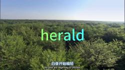 考研单词herald哔哩哔哩bilibili