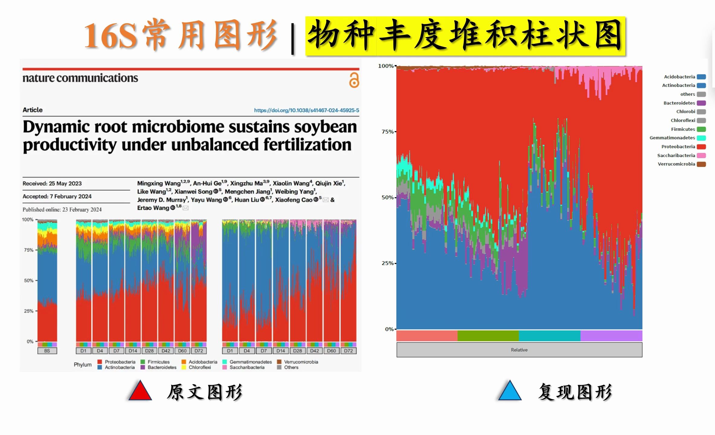 16S常用图形 | 物种丰度堆积柱状图哔哩哔哩bilibili