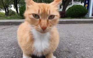 猫海参 搜索结果 哔哩哔哩弹幕视频网 つロ乾杯 Bilibili