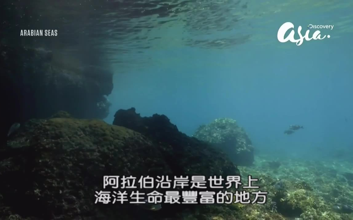 【Discovery Channel】蔚蓝阿拉伯海【英语繁中】哔哩哔哩bilibili