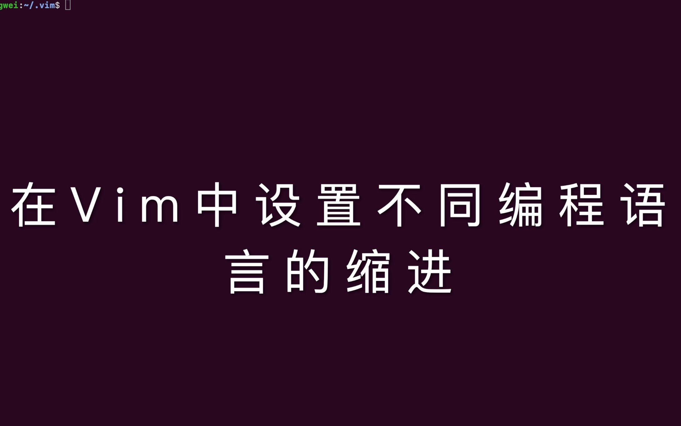 vim实用技巧6设置不同编程语言的缩进风格哔哩哔哩bilibili