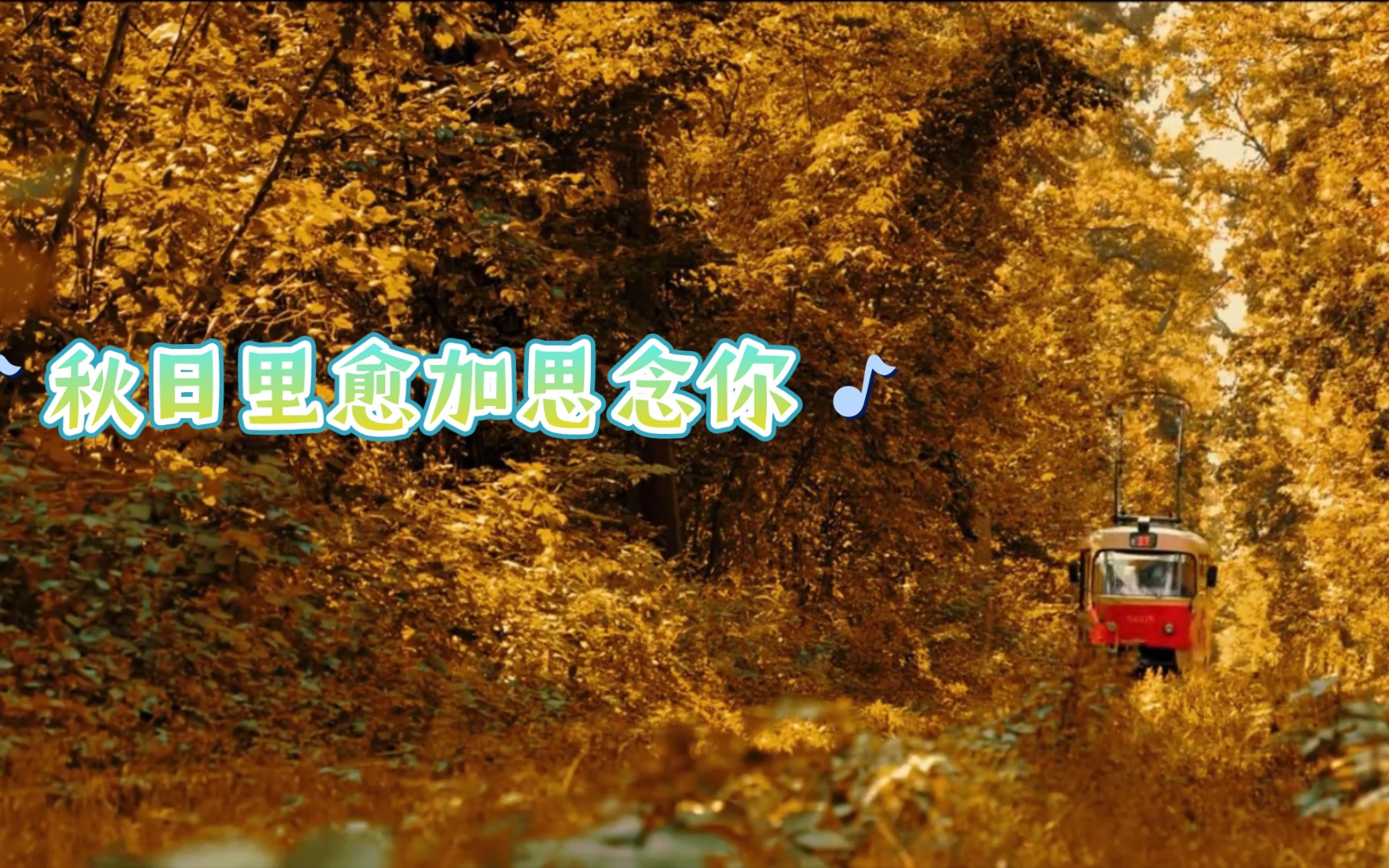 思念上心头,秋天也要抱紧你