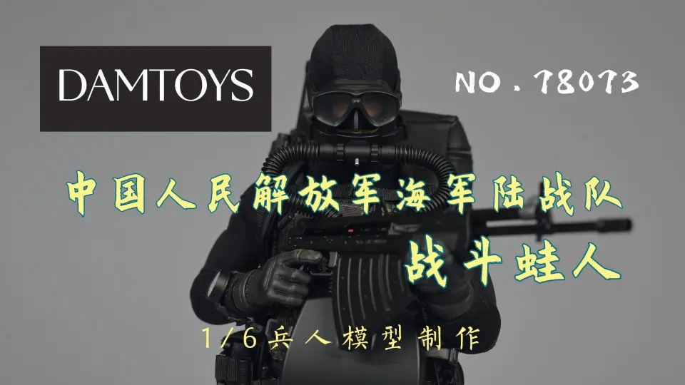 DAMTOYS新品】1/6中国人民解放军海军陆战队战斗蛙人NO.78073_哔哩哔哩_ 