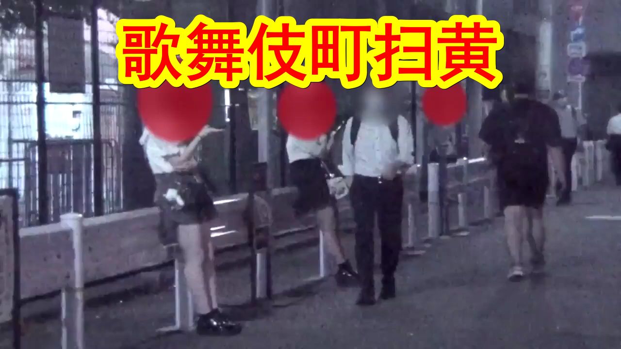 [图]【中日双语】日本对大久保公园持续进行扫黄，今年已逮捕140名站街女，数量为去年的3倍。