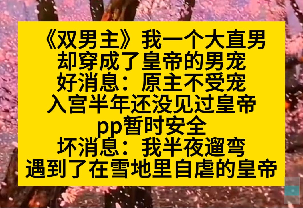 双男主 我是一个大直男,却穿成了皇帝的男宠,好消息:原主不受宠,没见过皇帝,坏消息:我半夜瞎溜达,遇到了自虐的皇帝……小说推荐哔哩哔哩bilibili