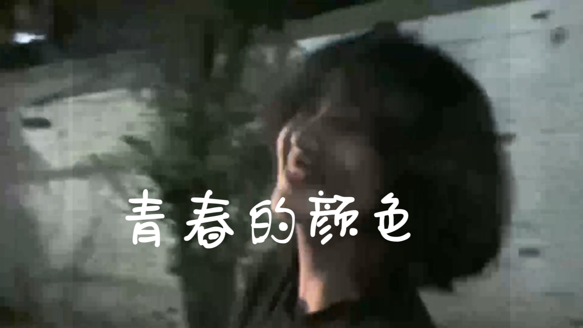 青春的颜色|花儿流着泪 会枯萎 虽然美