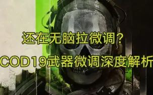 Download Video: 【使命召唤19】还在无脑拉微调？武器微调深度解析