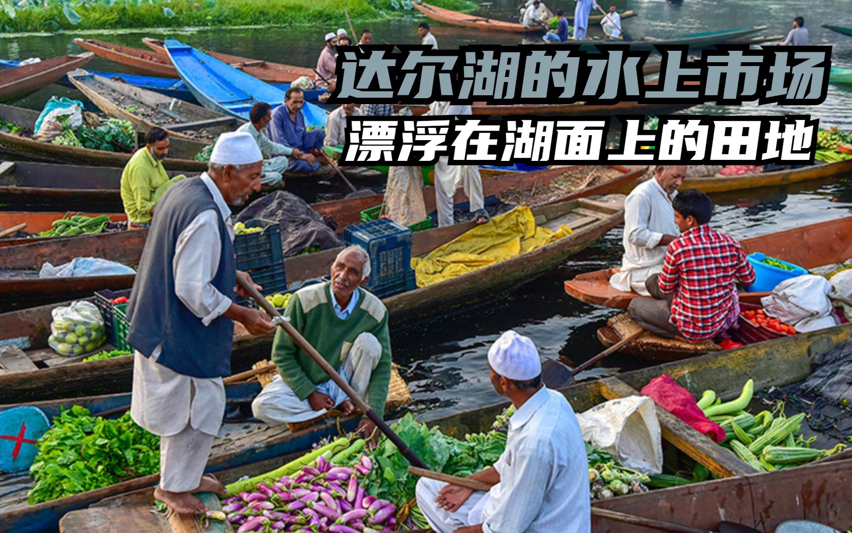 达尔湖的水上市场,蔬菜种在湖面上的漂浮田地上