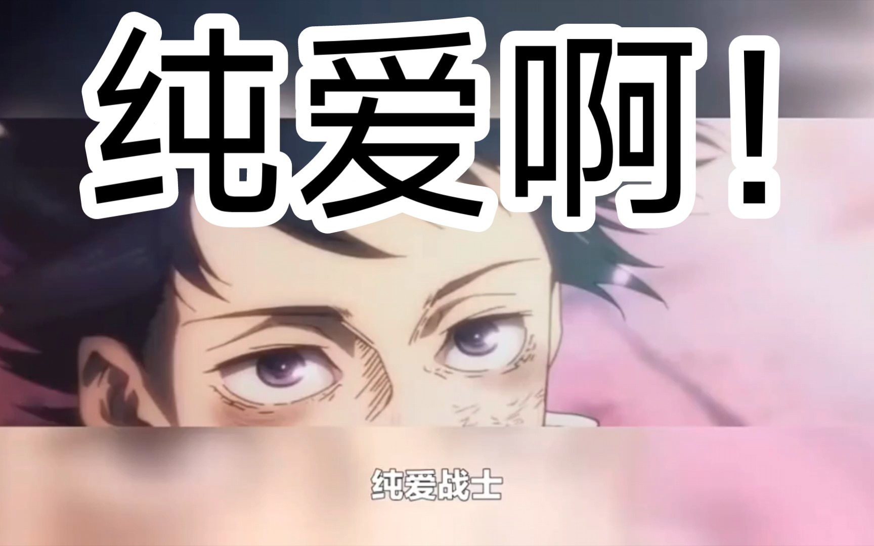 纯爱战士是什么意思