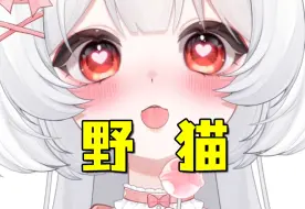 Download Video: 【蛋卡】性~感~小~野~猫~【情侣】