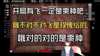 陈哥的以撒点播局 开局有飞一定是爽种吧 坏了飞是玫瑰给的