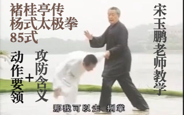 宋玉鹏老师褚桂亭传杨式太极拳85式.动作要领与攻防含义教学[▲rz剪辑版]哔哩哔哩bilibili