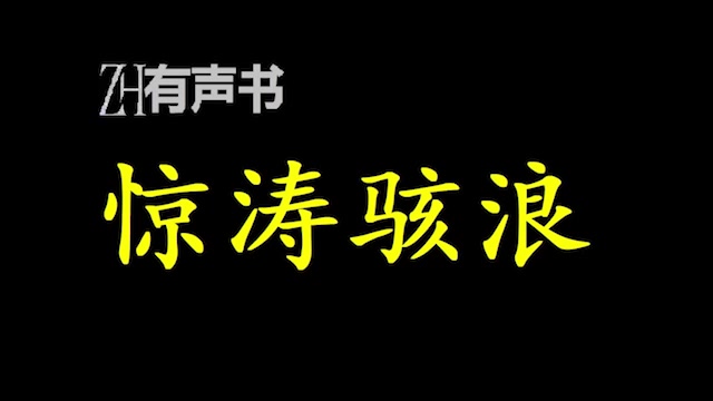 [图]惊涛骇浪_【ZH感谢收听-ZH有声便利店-免费点播有声书】