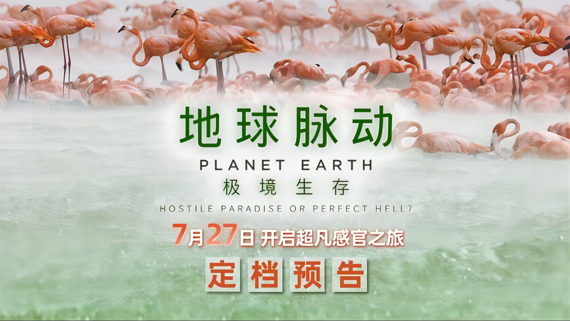 纪录电影《地球脉动:极境生存》定档预告片