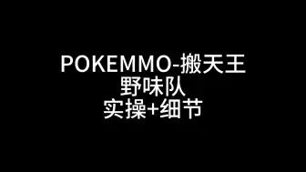 Скачать видео: POKEMMO-野味队-PC五搬剩6-含细节（看表/注销/顺序/推队）