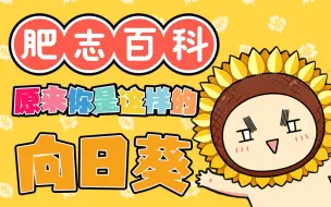 Download Video: 【独家】肥志百科 第32集 原来你是这样的向日葵【7月国创】