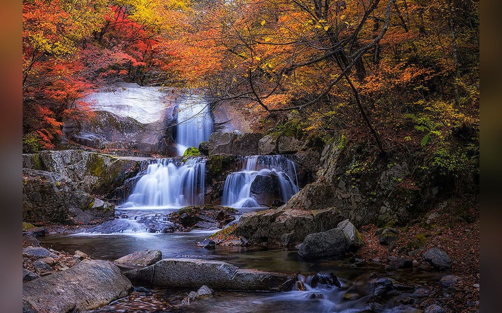 視頻教學 張遠景 培訓錄像