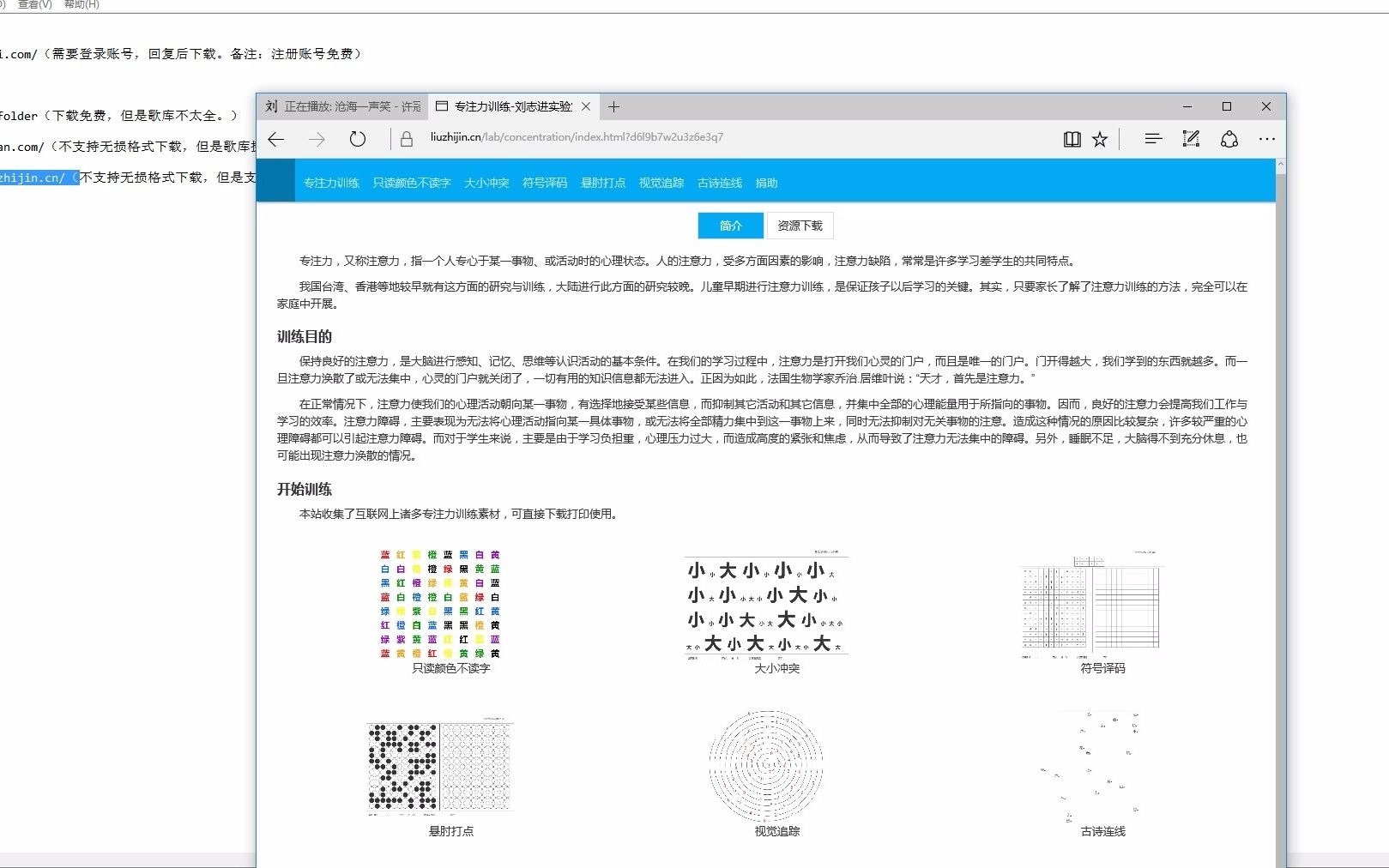 网页合集 常用网站分享哔哩哔哩bilibili