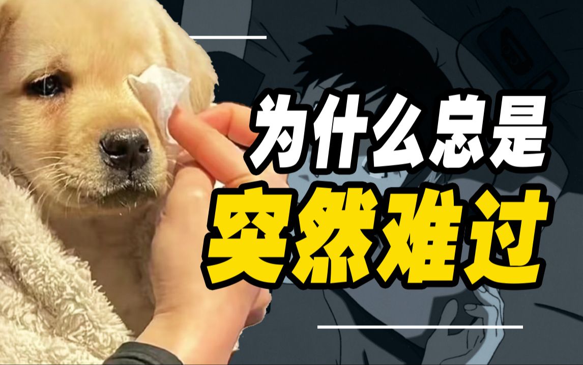 总有几天突然emo？你可能在经历「间歇性情绪低落」