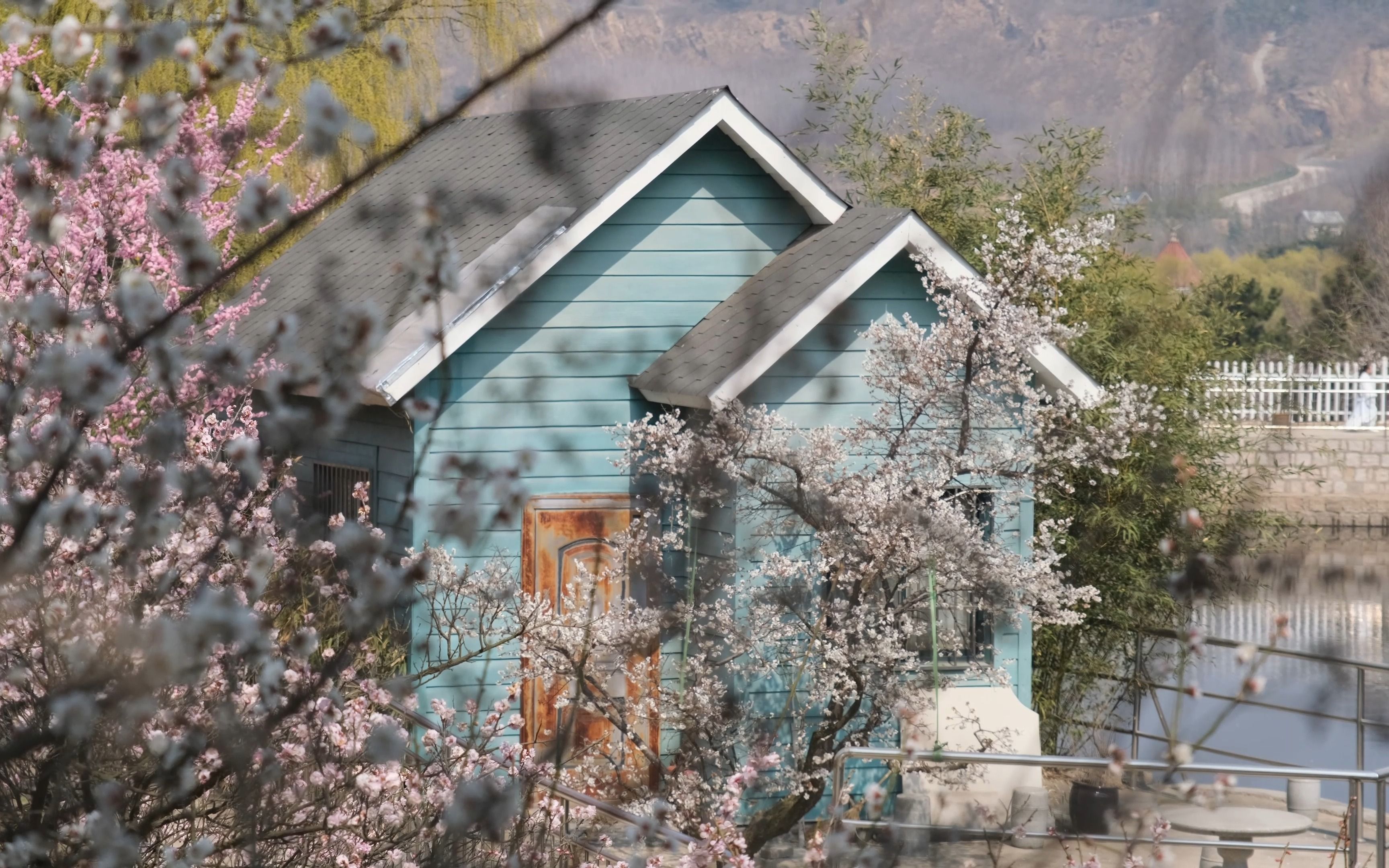 青岛市李沧区十梅庵——春日漫步