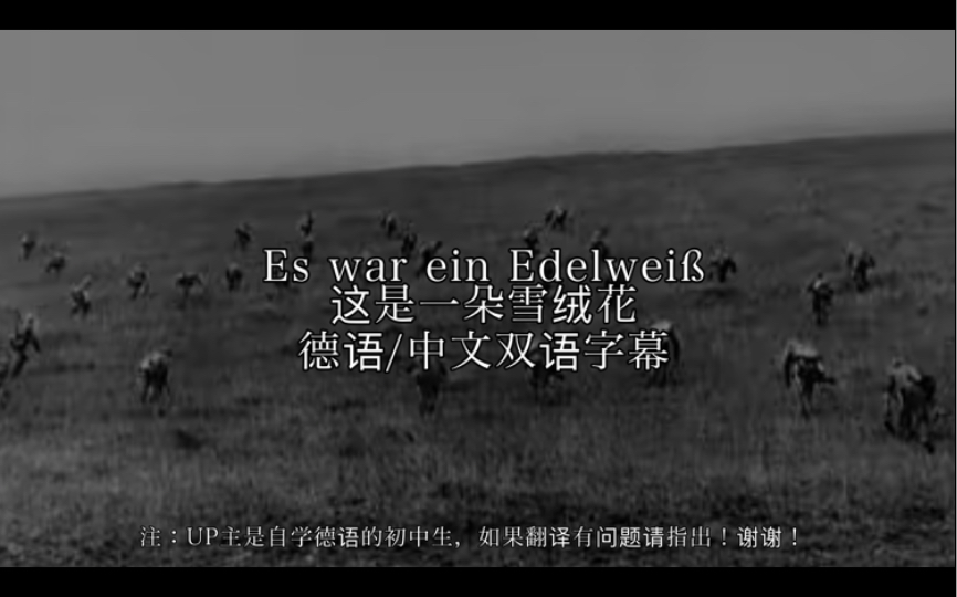 [图]【中德双字/德国民歌】Es war ein Edelweiß这是一朵雪绒花