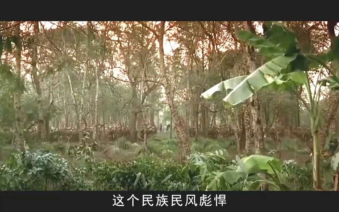 雅利安人有多强悍?灭掉三个文明古国,为何败在中国脚下.哔哩哔哩bilibili