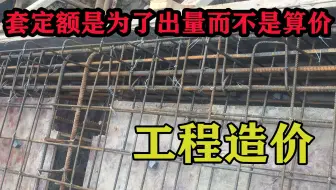 工程造价中套定额的目的是为了出量还是算价
