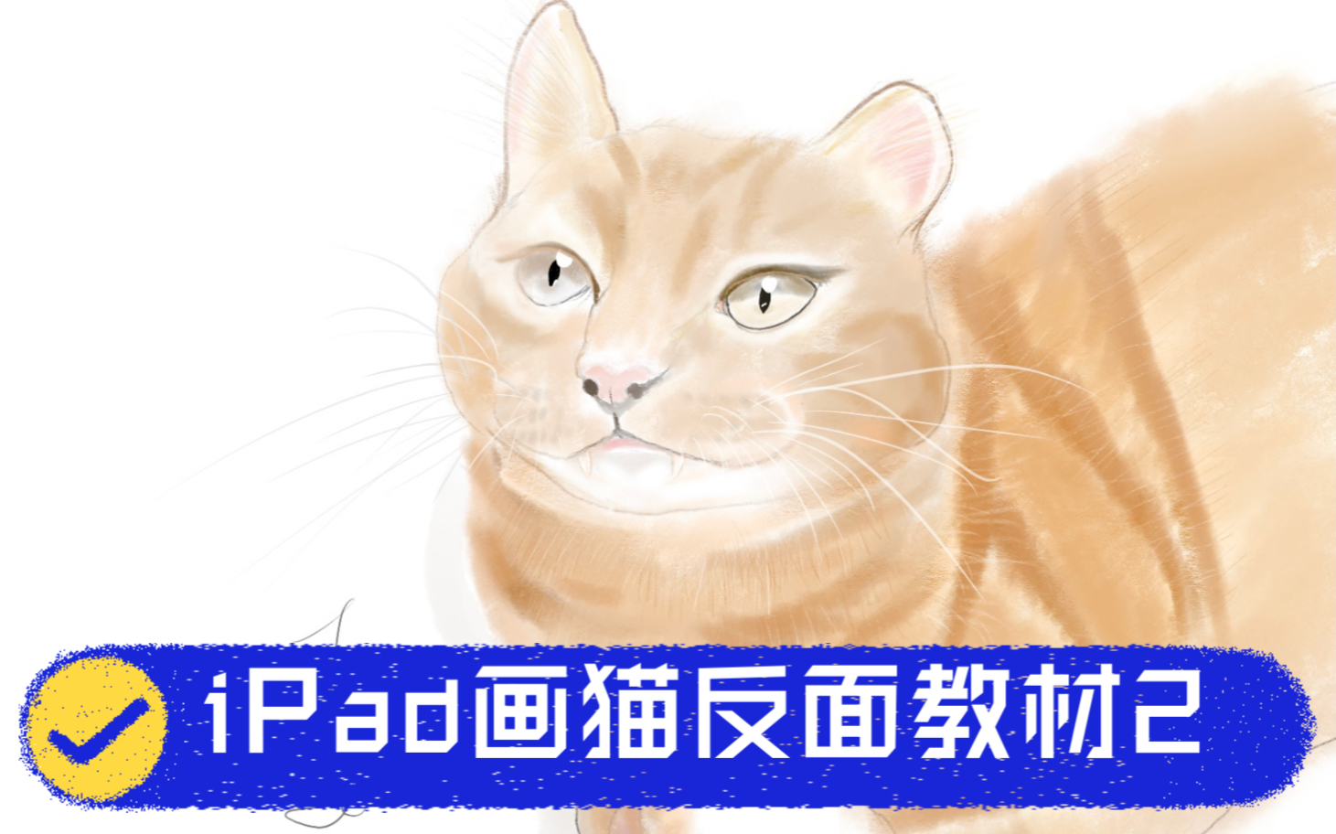 【iPad】用sketch画猫反面教程我只是想晒猫哔哩哔哩bilibili