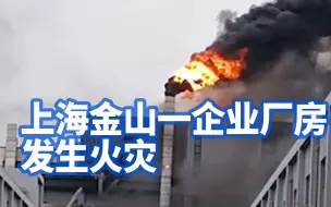 Télécharger la video: 上海金山一厂房发生火灾：暂无人员被困