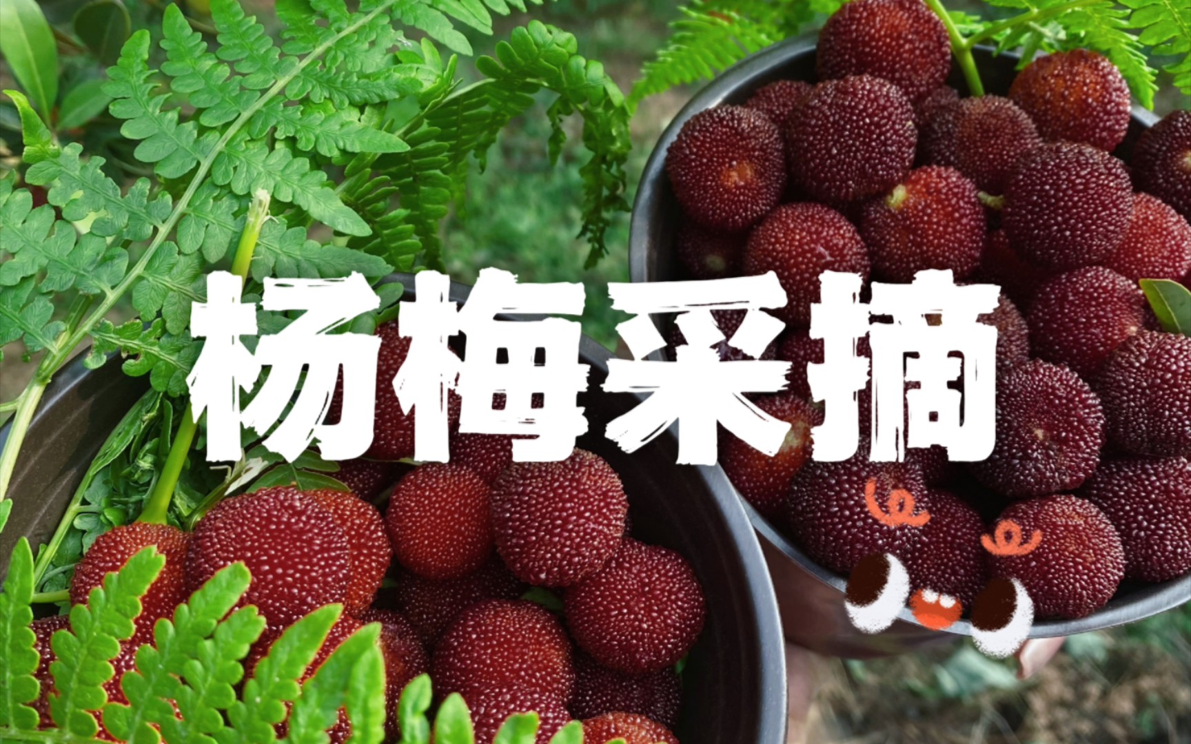 外地小姐姐没见过杨梅树!带她们体验摘杨梅的快乐!-小王爱花花花-小王爱花花花-哔哩哔哩视频