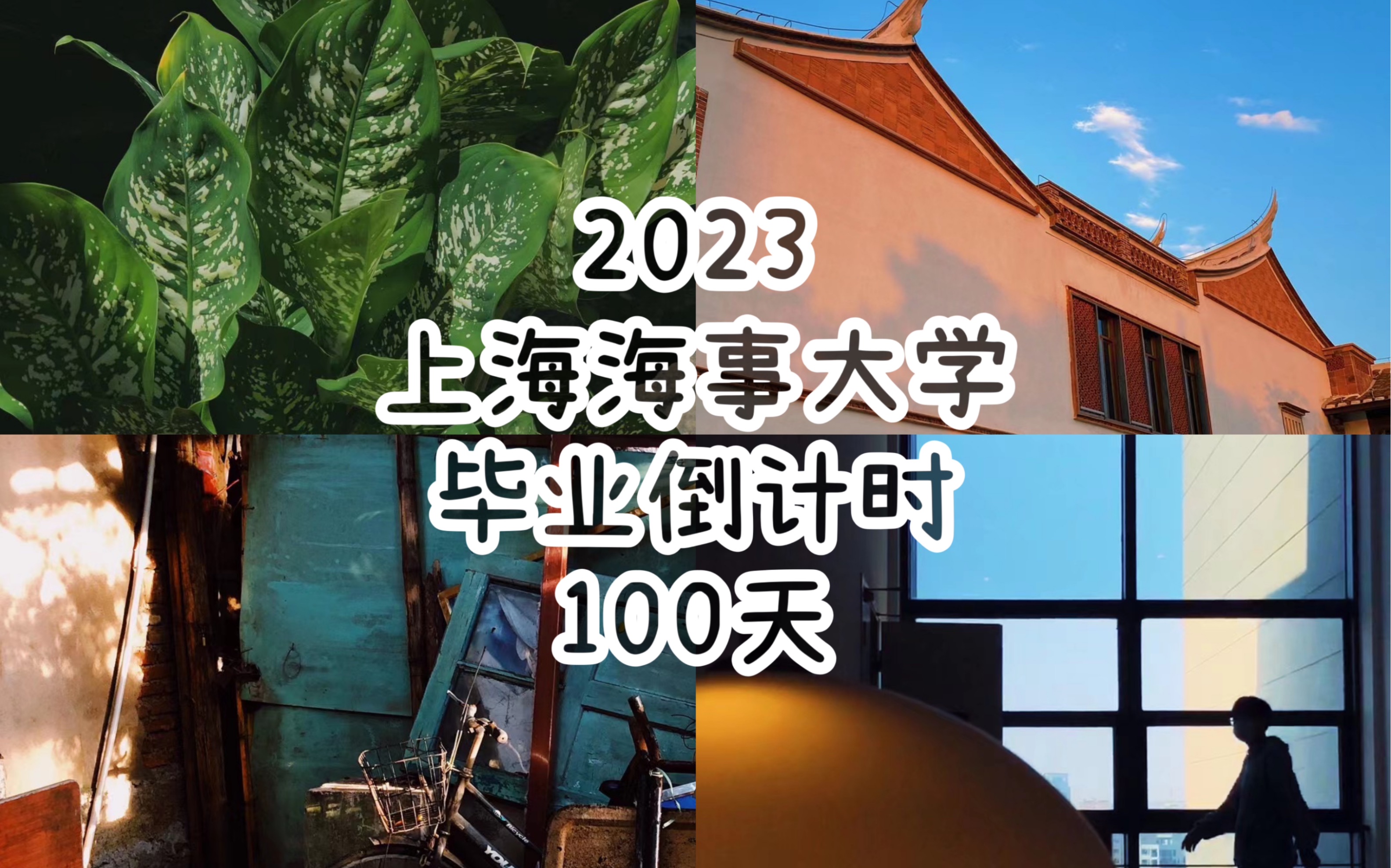 【毕业倒计时100天】上海海事大学|毕业倒计时|日常流水账哔哩哔哩bilibili