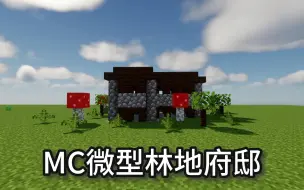 下载视频: MC微型林地府邸