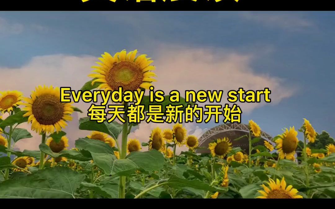 每天都是新的一天 烦恼和痛苦不要过夜.