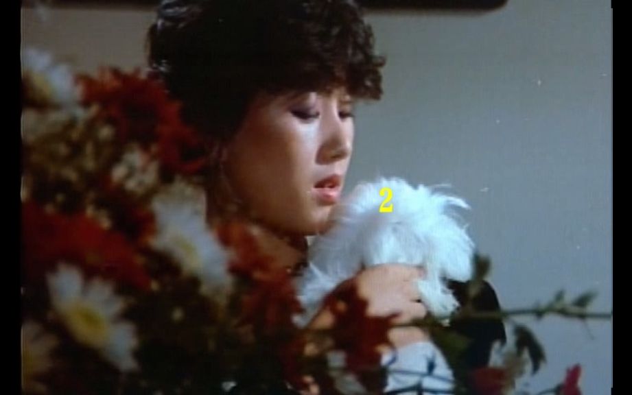 [图]朴宣姬/Choi Yun-seok/南宮遠/Bang Hee/李美淑在韩国电影：禁止的爱（1982）又名：A Forbidden Love里面都有精彩表现！