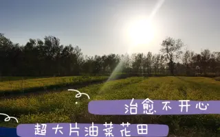 花田北张 搜索结果 哔哩哔哩 Bilibili