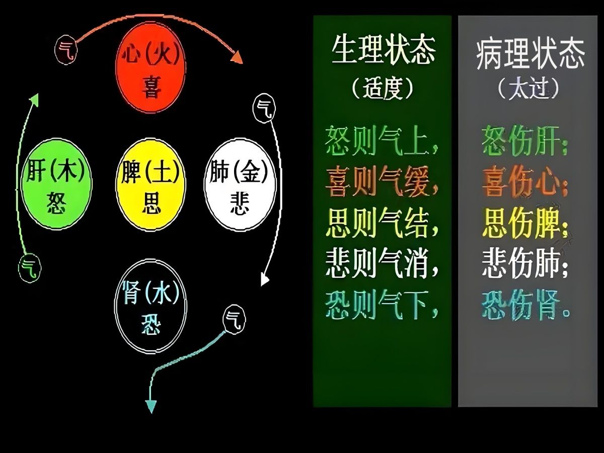 第177讲:【黄帝内经】悲则气消,恐则气下哔哩哔哩bilibili