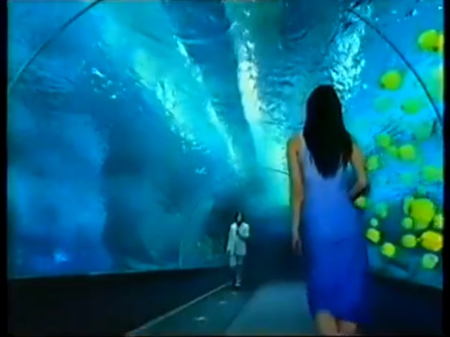 【科技·三星(大中华区)】三星anycall a188 - 三星数字世界(郑伊健